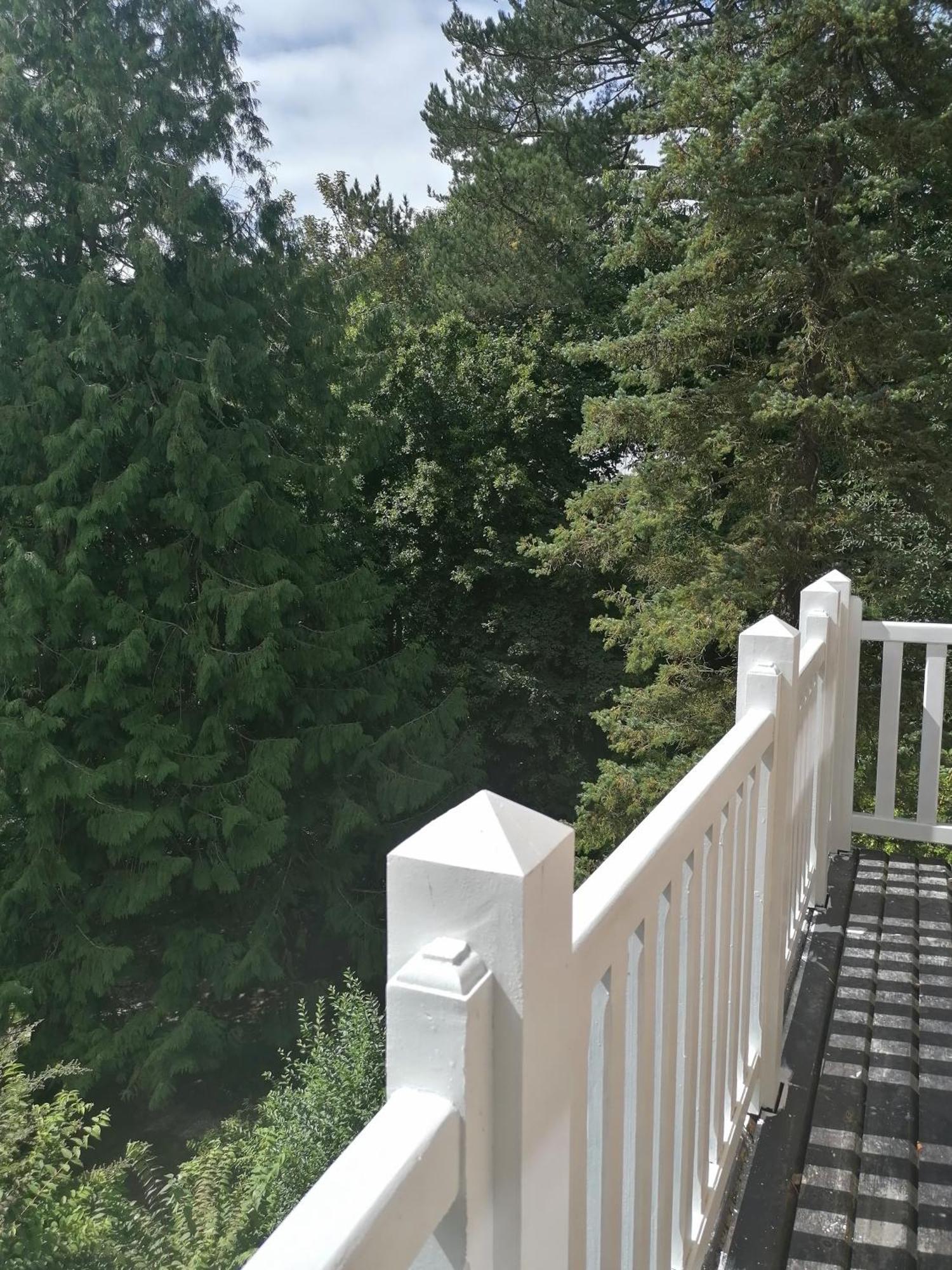 Villa Eliane - Parking Prive Étretat Zewnętrze zdjęcie