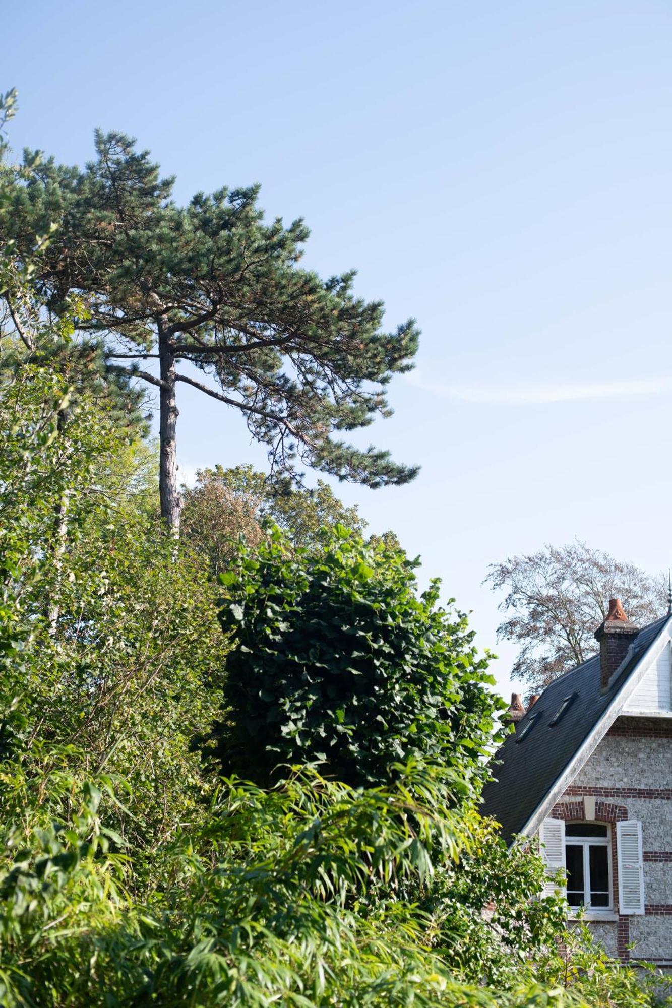 Villa Eliane - Parking Prive Étretat Zewnętrze zdjęcie